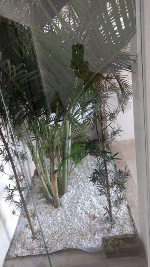 Apartamento, 2 quartos - Foto 9