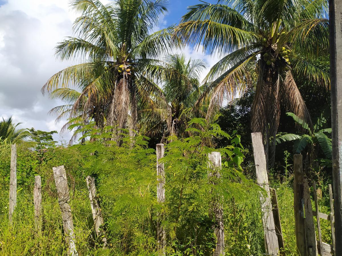 Terreno, 924 m² - Foto 3