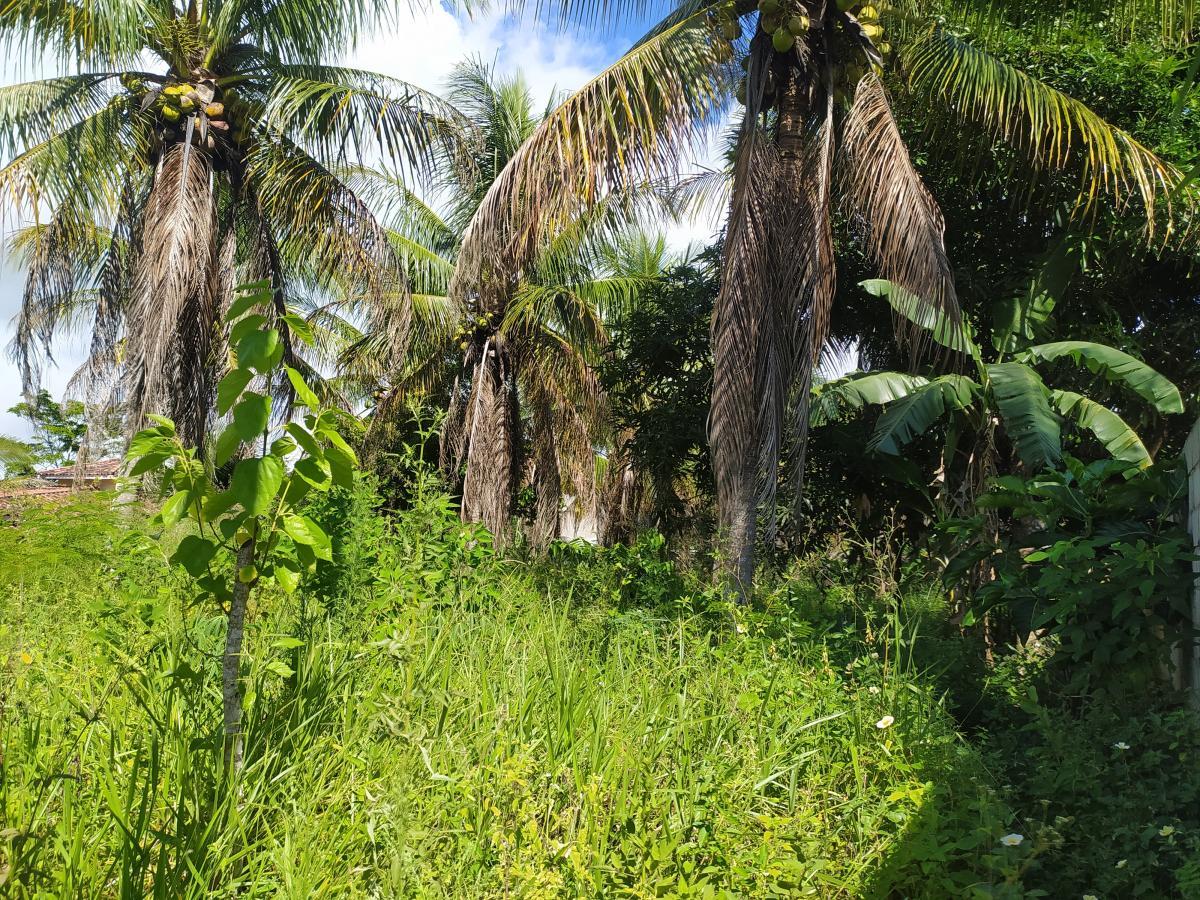 Terreno, 924 m² - Foto 4