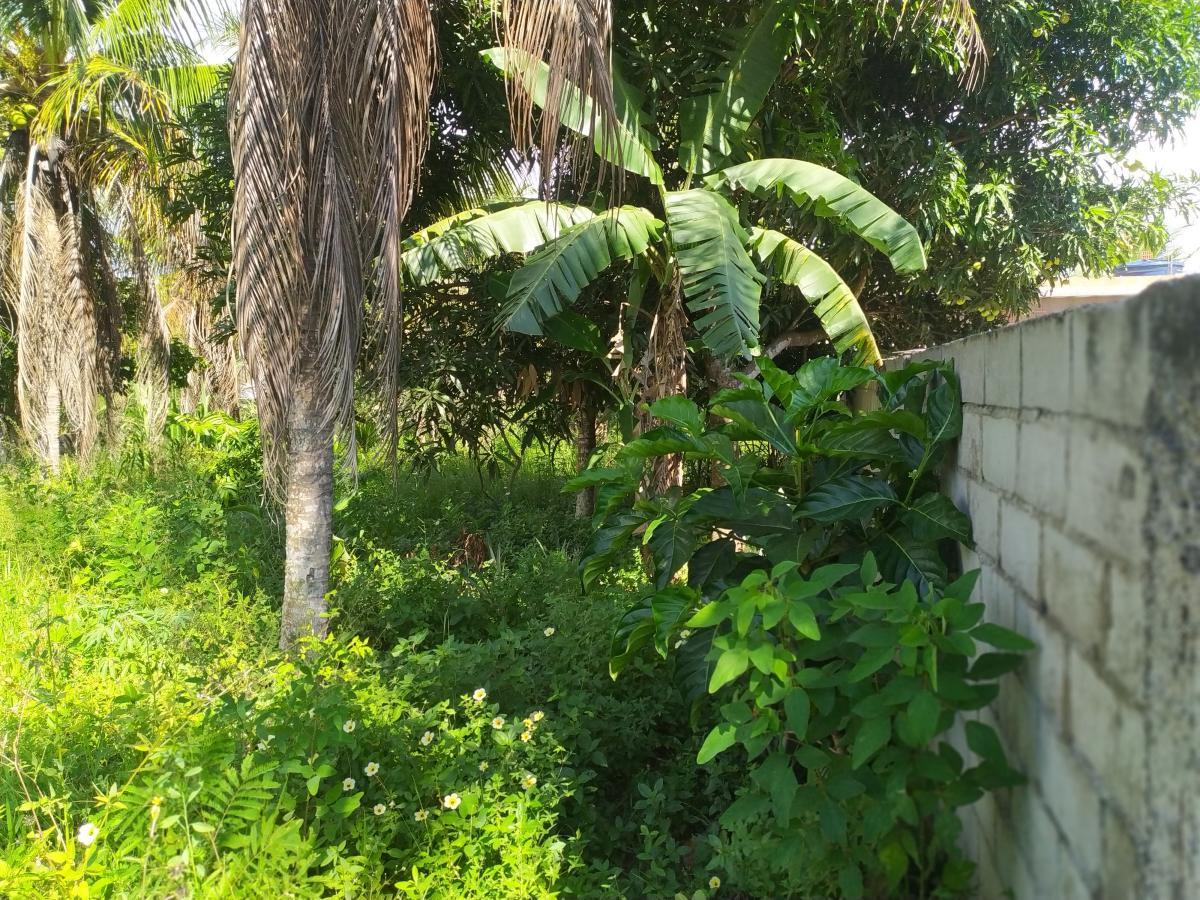 Terreno, 924 m² - Foto 6